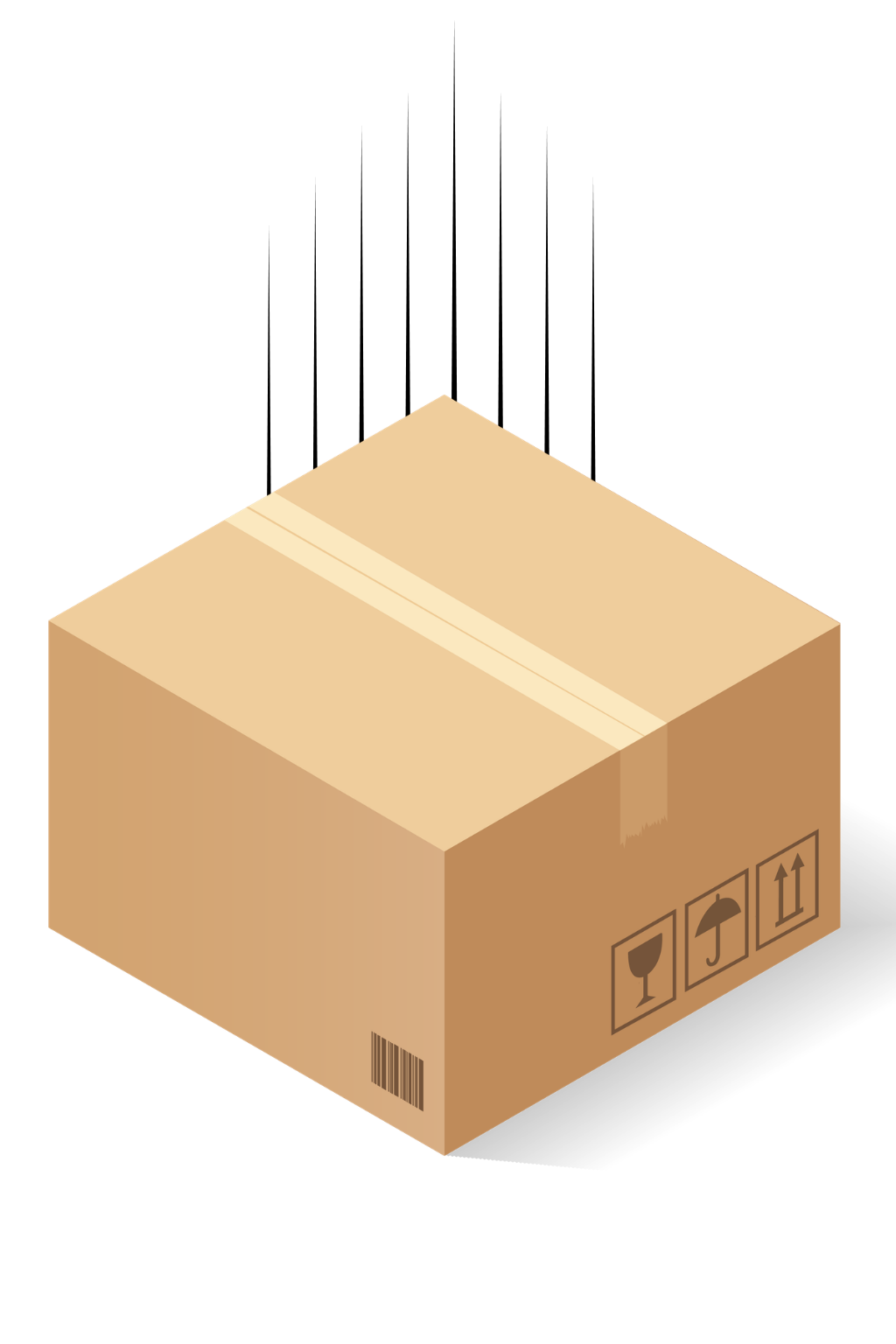 FREE SHIPPING